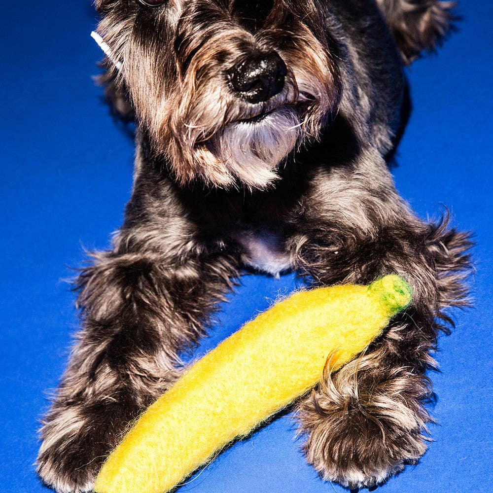 PEELABLE BANANA INTERACTIVE DOG TOY – Pawty Dog Toys