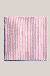 Linen Napkins, Set of 4 | Carnival Stripe