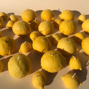 Lemon Candle (Large) - Pretti.Cool