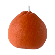 Grapefruit Candle - Pretti.Cool