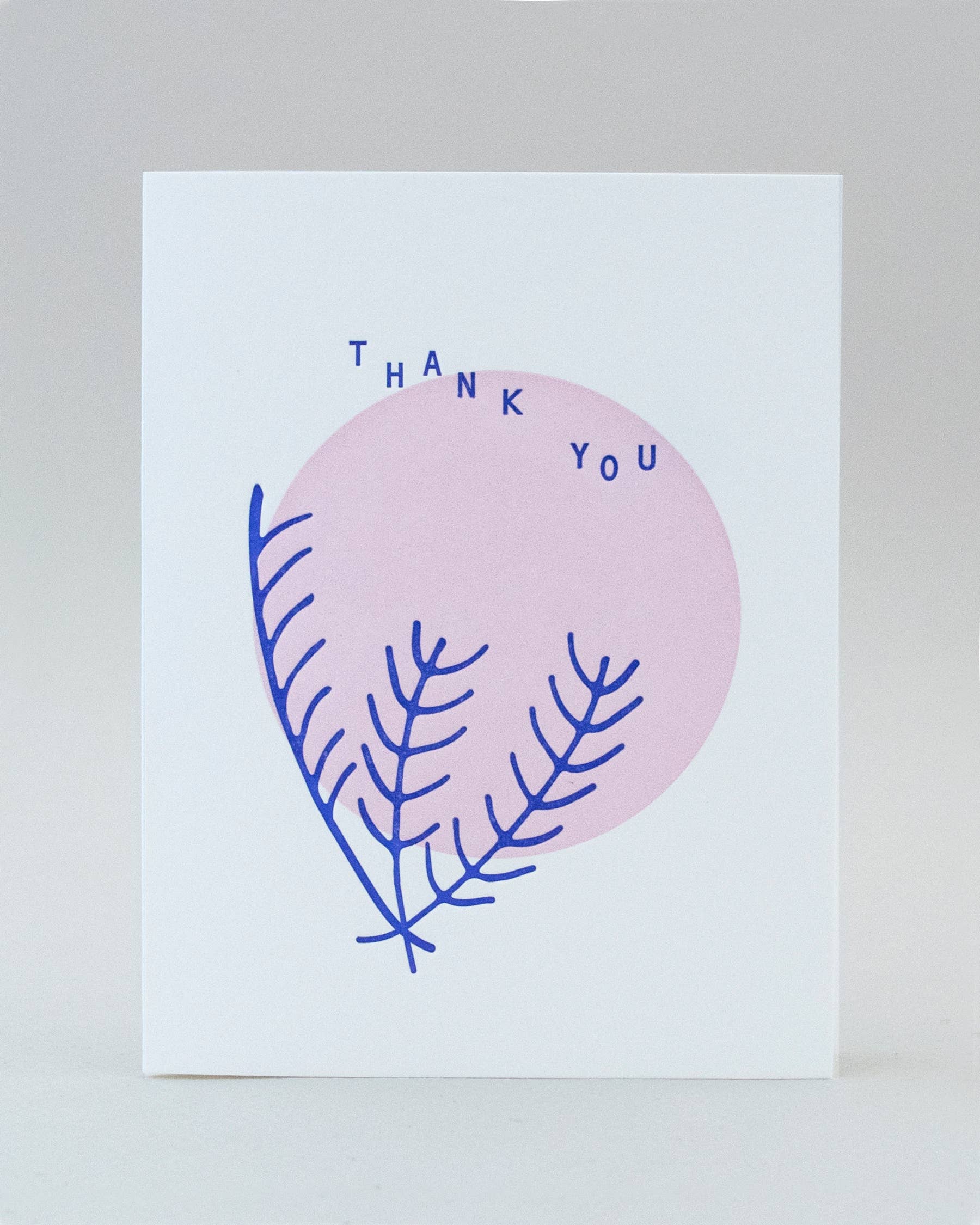 Blue Pine TY Card