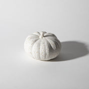 Mini Pumpkin | White Terrazzo - Pretti.Cool