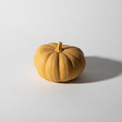 Mini Pumpkin | Marigold Terrazzo - Pretti.Cool