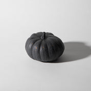Mini Pumpkin | Black Terrazzo - Pretti.Cool