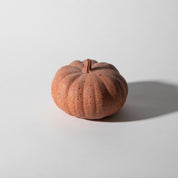 Mini Pumpkin | Coral Terrazzo - Pretti.Cool