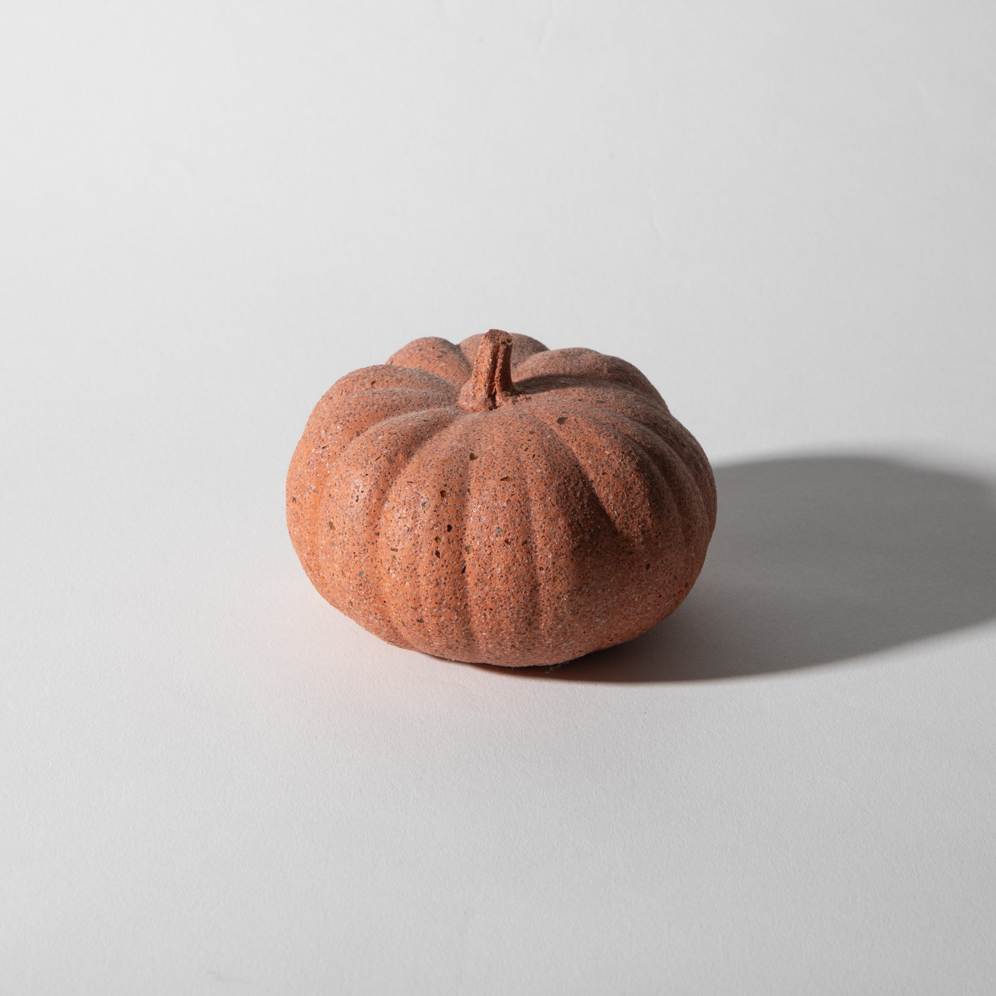 Mini Pumpkin | Coral Terrazzo - Pretti.Cool