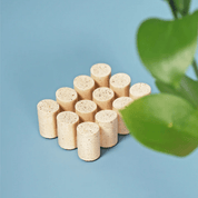 Sounds Soap Dish - Pretti.Cool