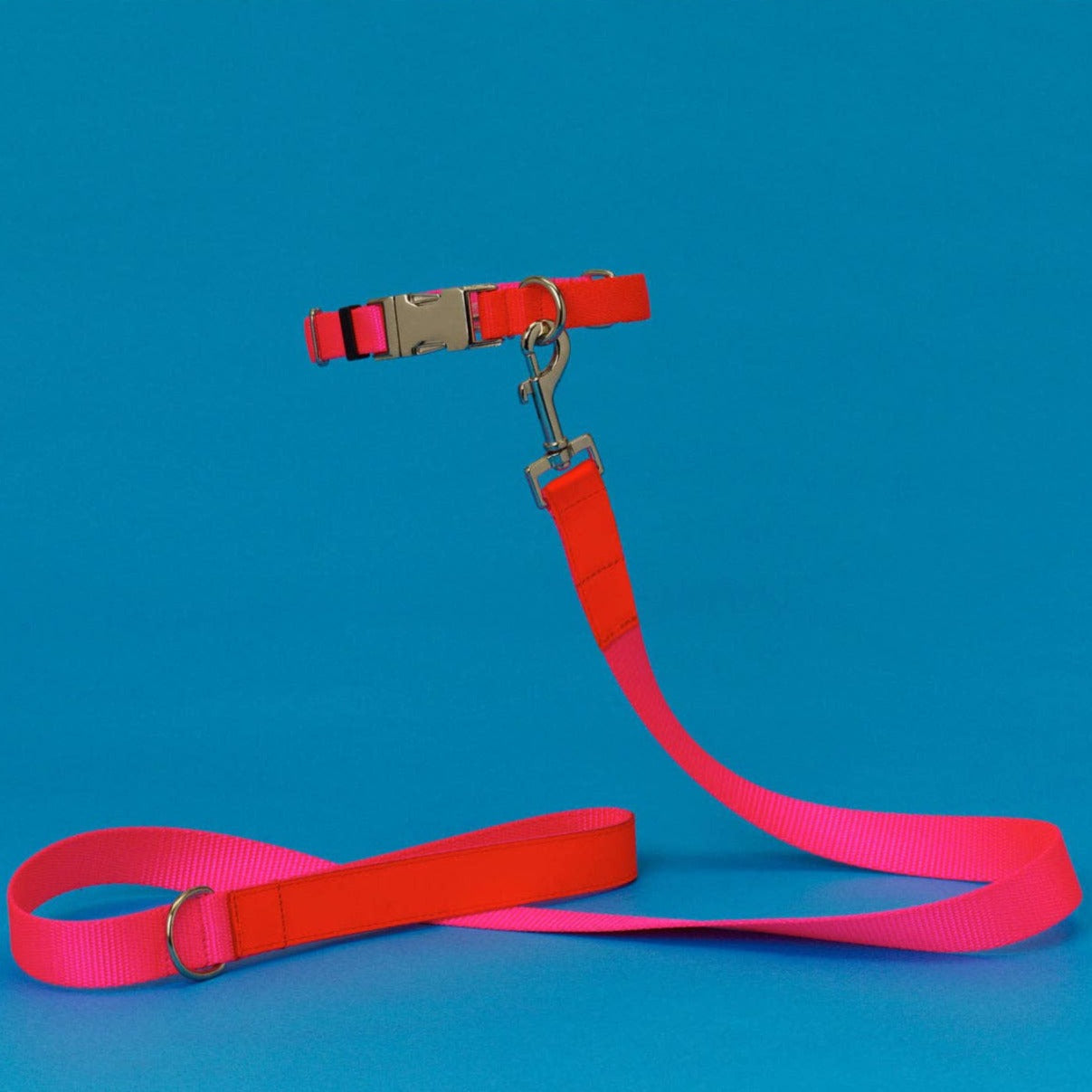 Pink/Orange collar & leash.