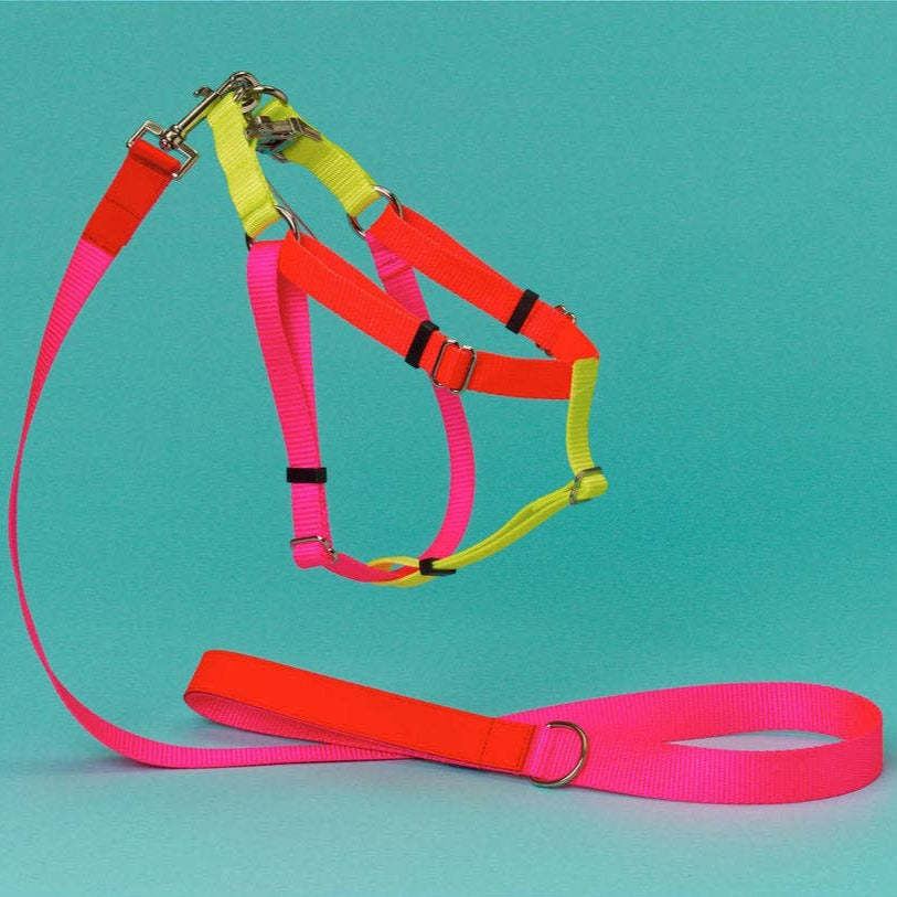 Color Block pet harness in pink/orange.