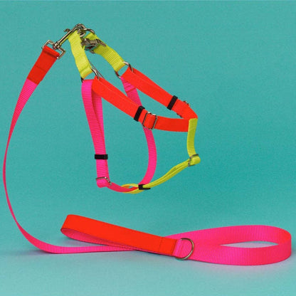 Color Block pet harness in pink/orange.