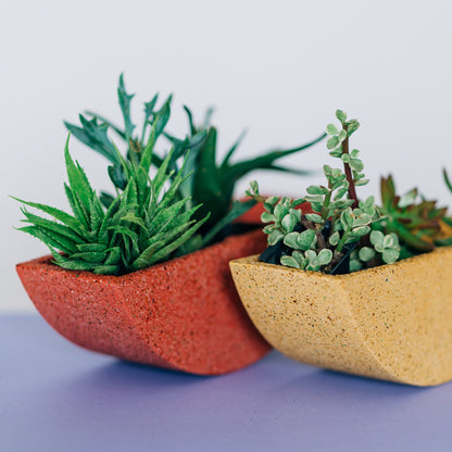 Terrazzo concrete half circle planter in various colors with plants.