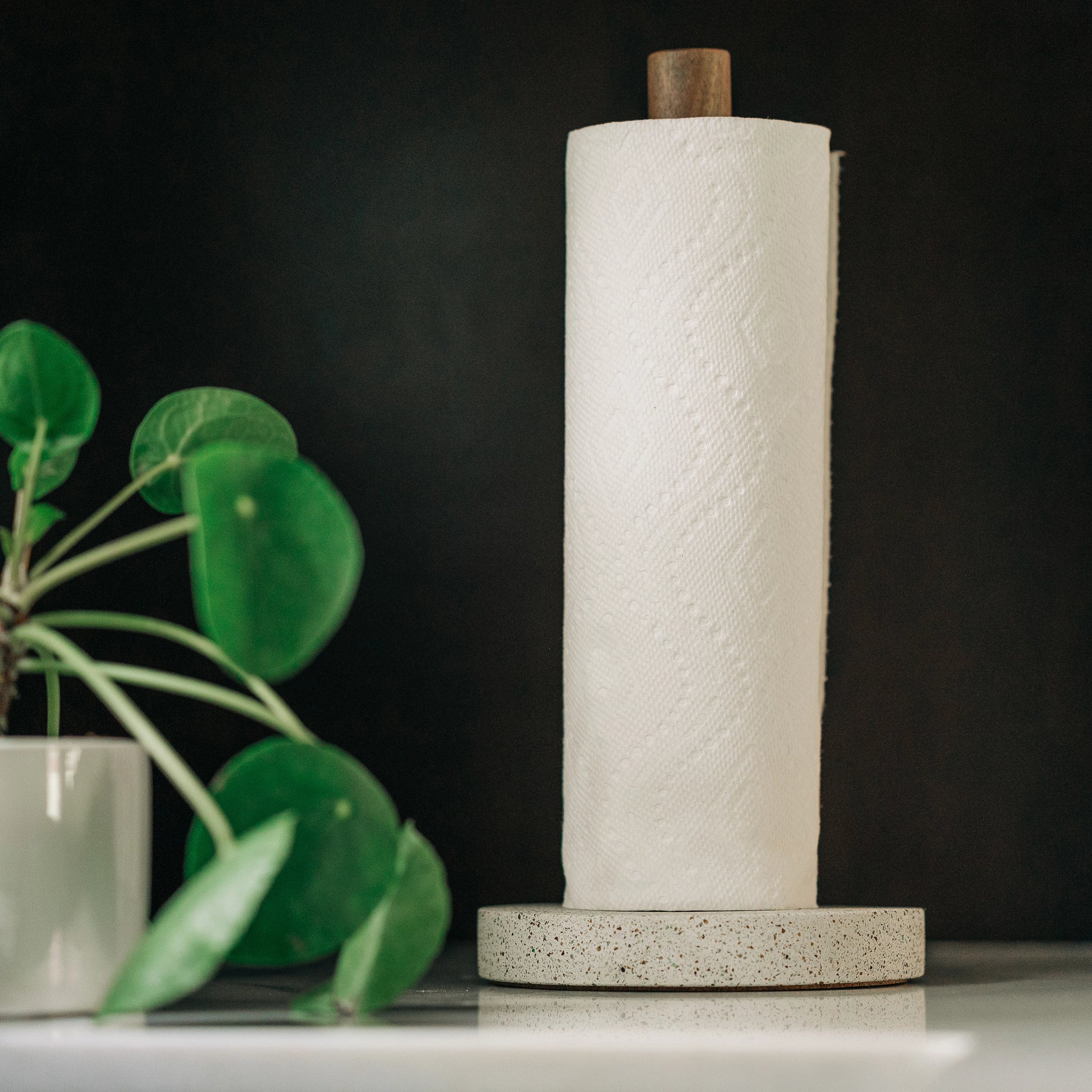 Concrete paper towel holder 2025