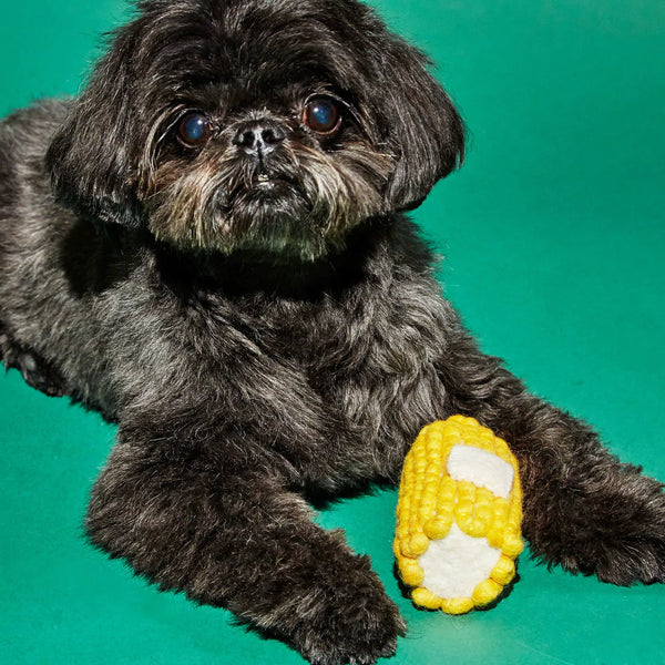 Boiled wool dog toys hotsell