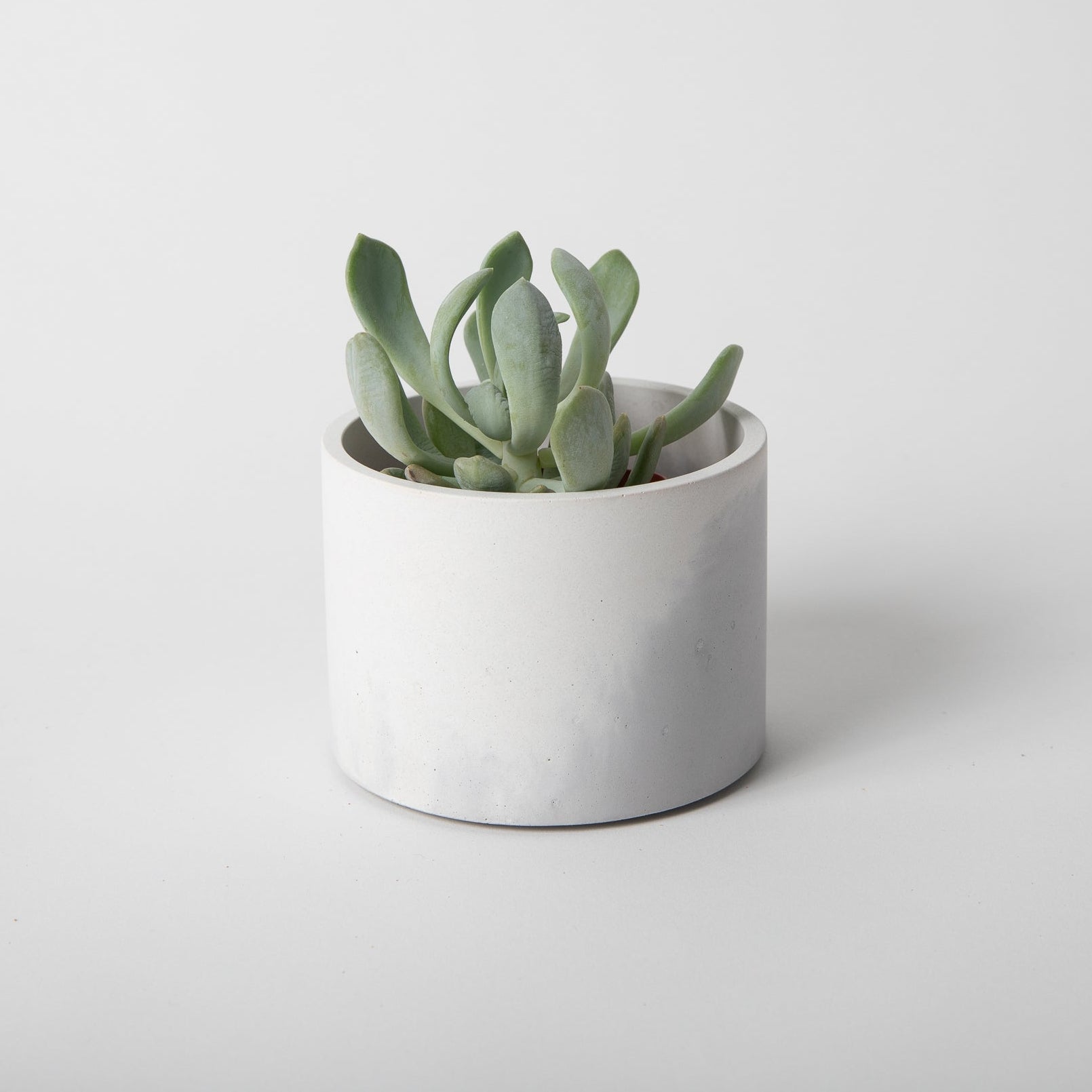 4" Vessels - pretti.cool