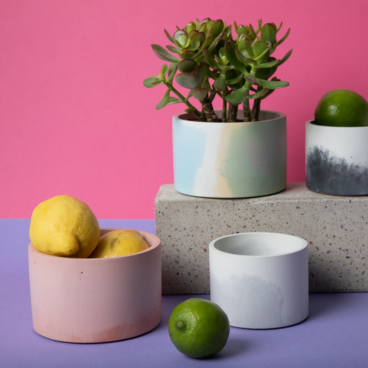 5 inch concrete vessel in various colors with plants and decorative fruit. 